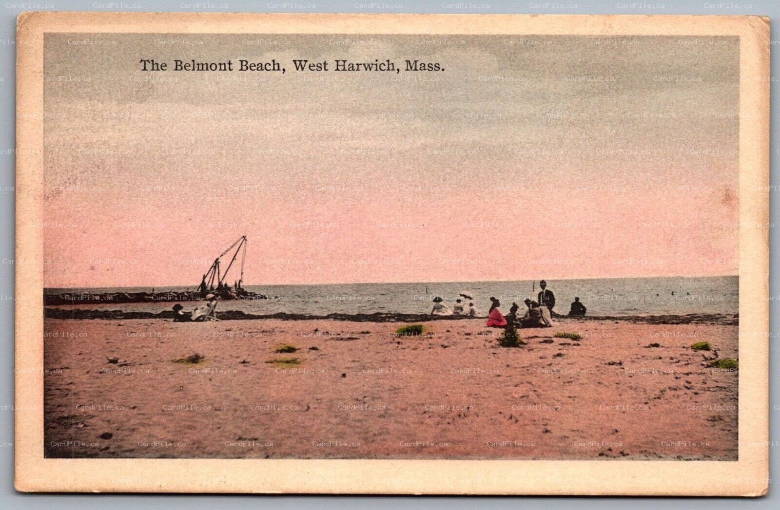 Postcard West Harwich MA c1923 The Belmont Beach Picnic Ocean 