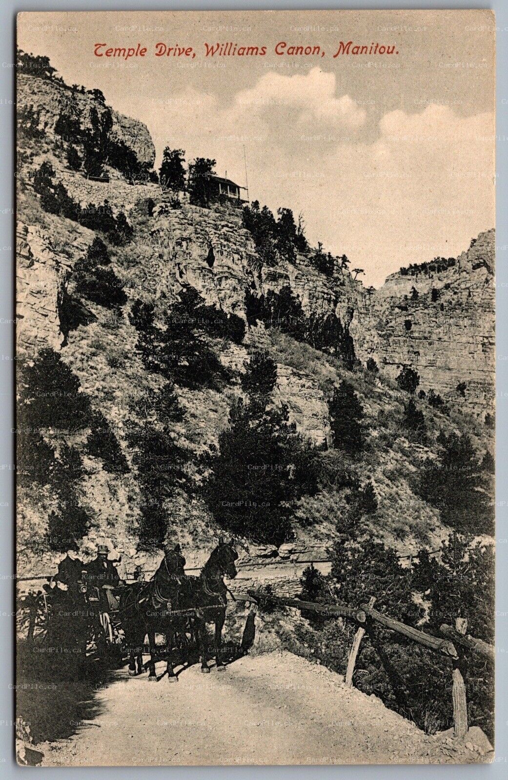 Postcard Manitou CO c1910s Temple Drive Williams Canyon Canon Horse Carriage 