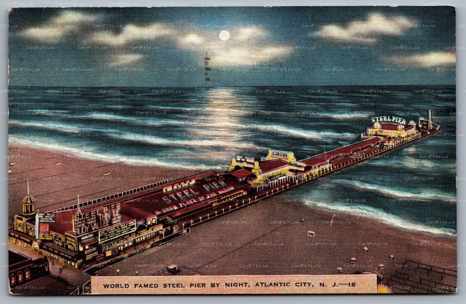 Postcard Atlantic City NJ c1941 World Famed Steel Pier by Night Circus Thin Ice