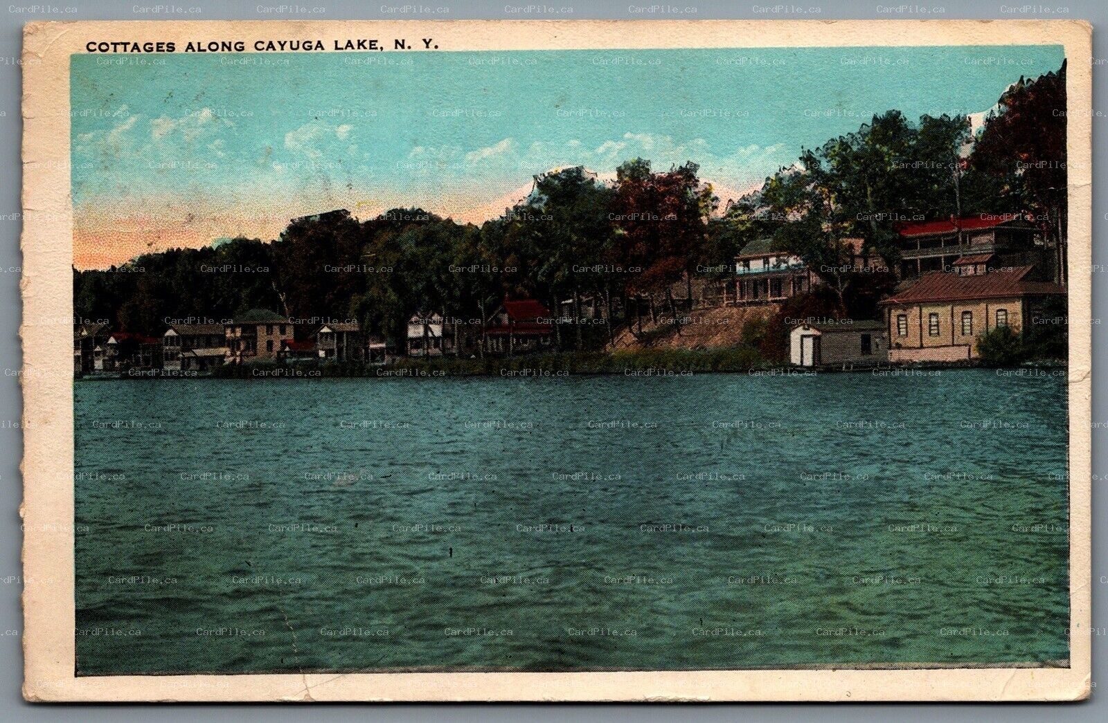 Postcard Cayuga Lake New York c1924 Cottages Along The Lake Finger Lakes