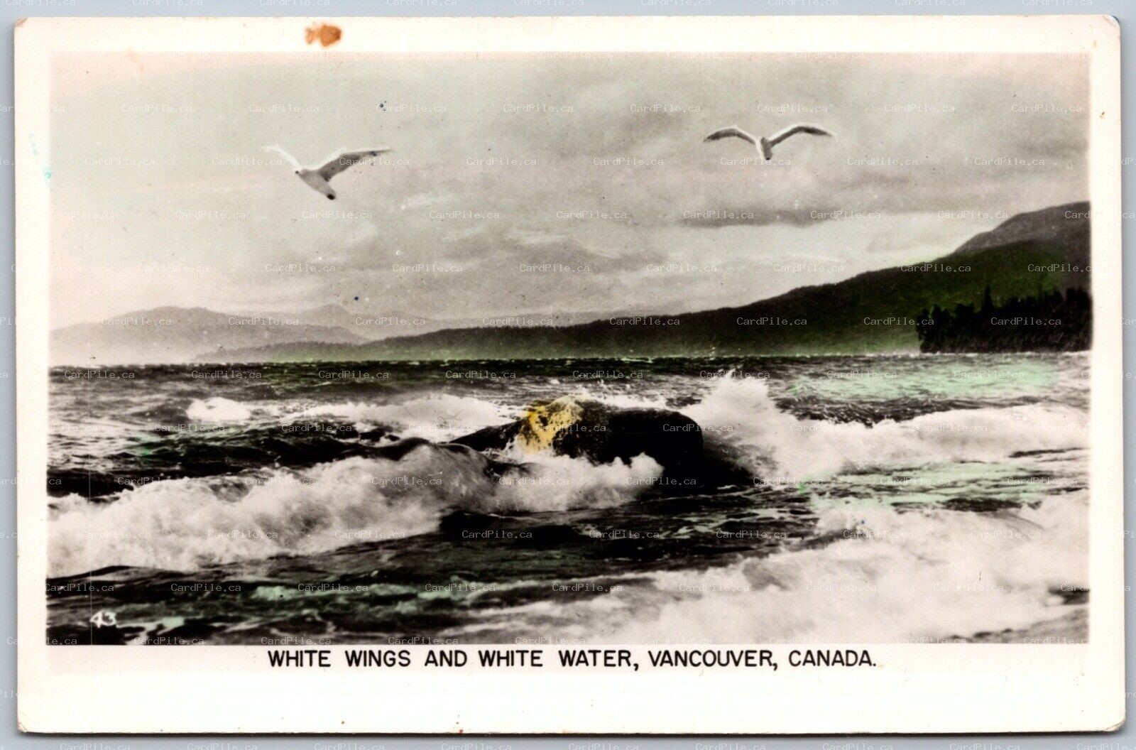 Postcard RPPC c1920s Vancouver BC White Wings White Water Surf Tinted by Gowen 