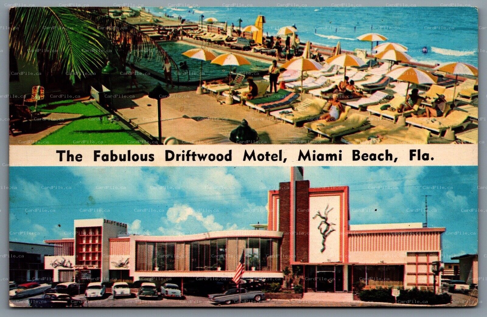 Postcard Miami Beach Florida c1967 The Driftwood Motel Dual View Old Cars Pool