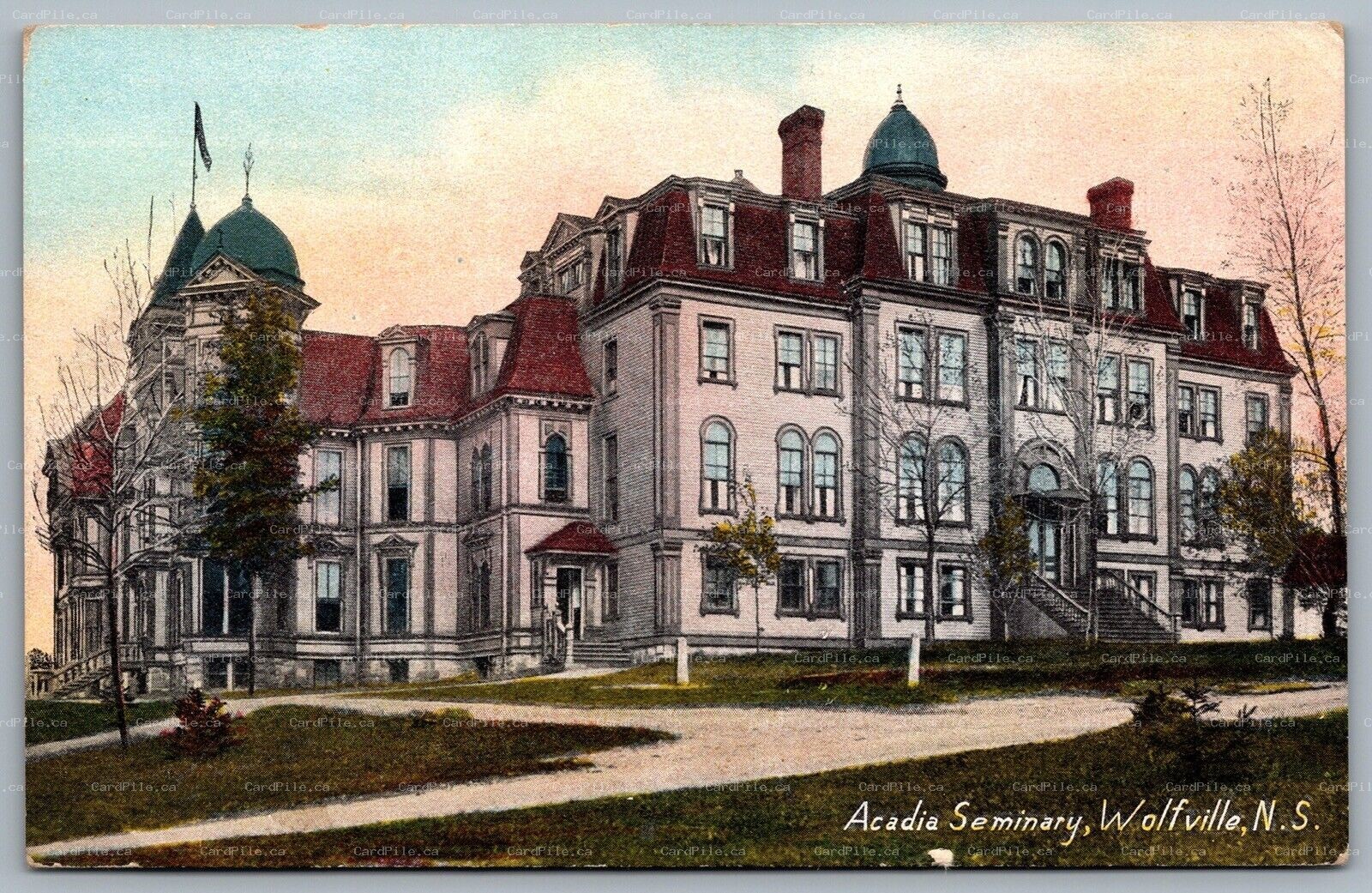 Postcard Wolfville Nova Scotia c1910s Acadia Seminary Macfarlane Unused 