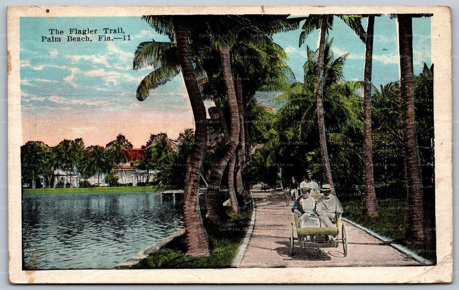 Postcard Palm Beach Florida c1923 The Flagler Trail to Three Mile Bay New York