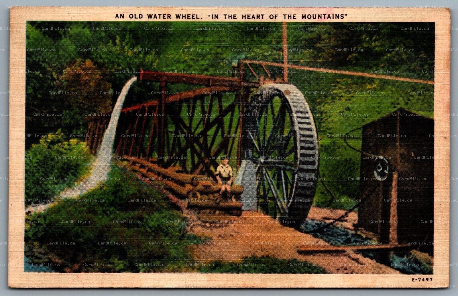 Postcard c1930s An Old Water Wheel In The Heart of The Mountains Linen Unused A