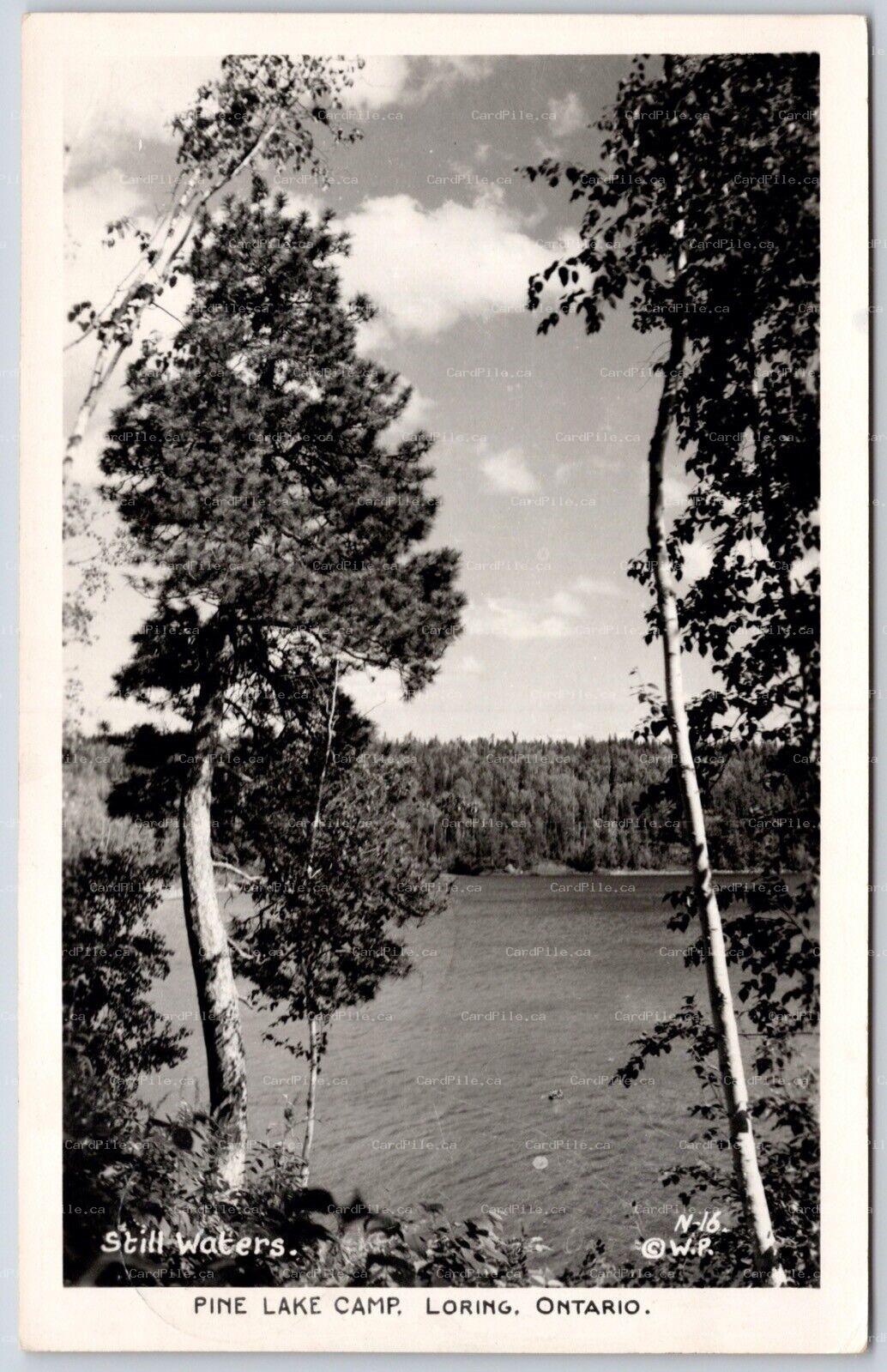Postcard RPPC c1956 Loring Ontario Pine Lake Camp Scenic View Still Waters PSD
