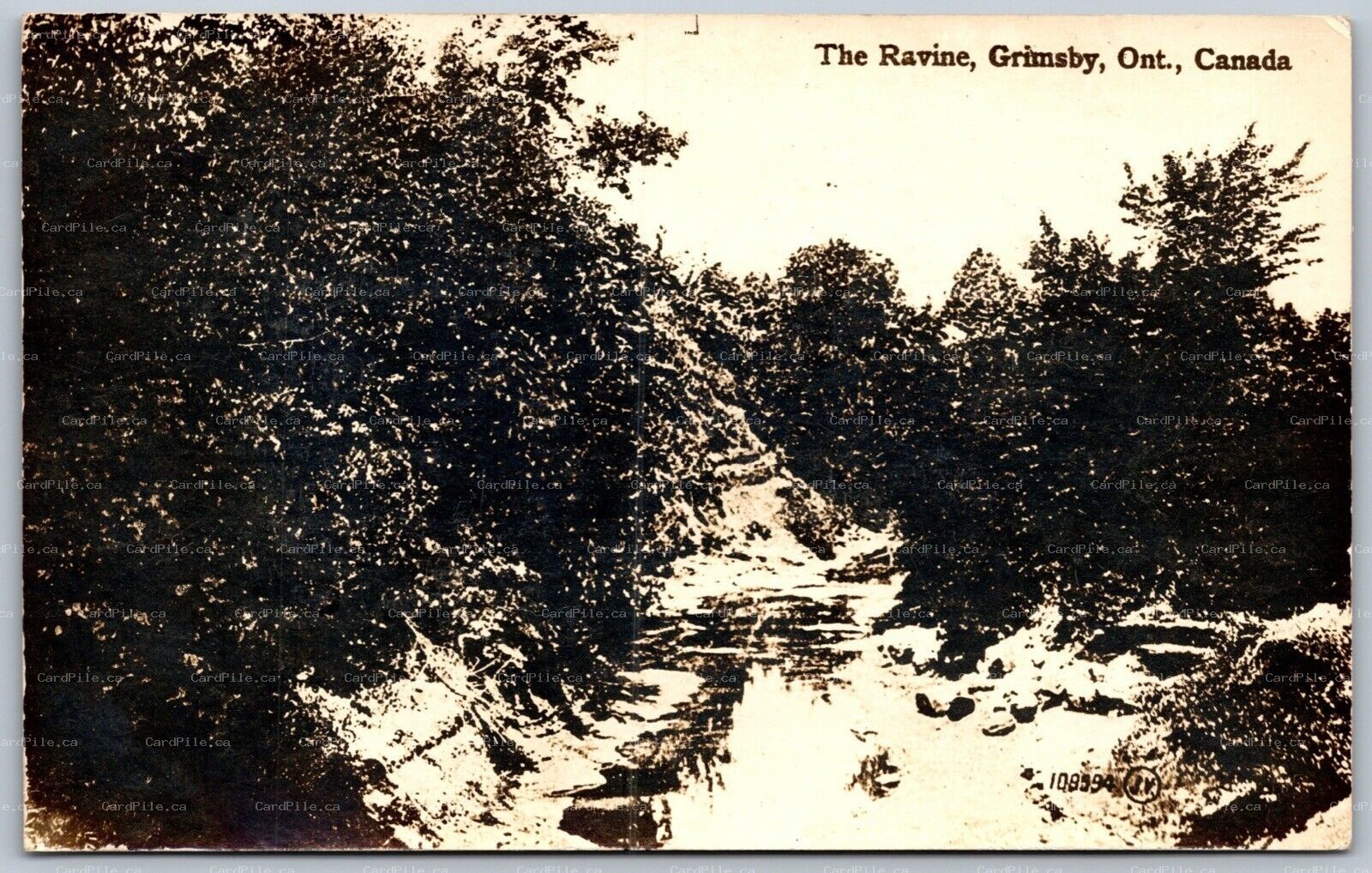 Postcard RPPC c1910s Grimsby Ontario The Ravine