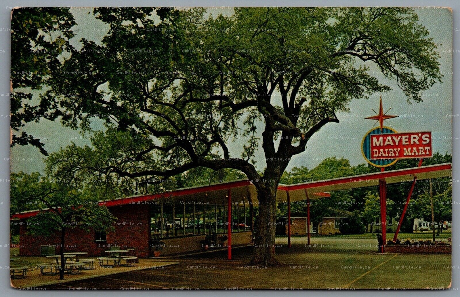 Postcard La Grange TX c1960s Mayers Dairy Mart Drive In Restaurants Highway 71