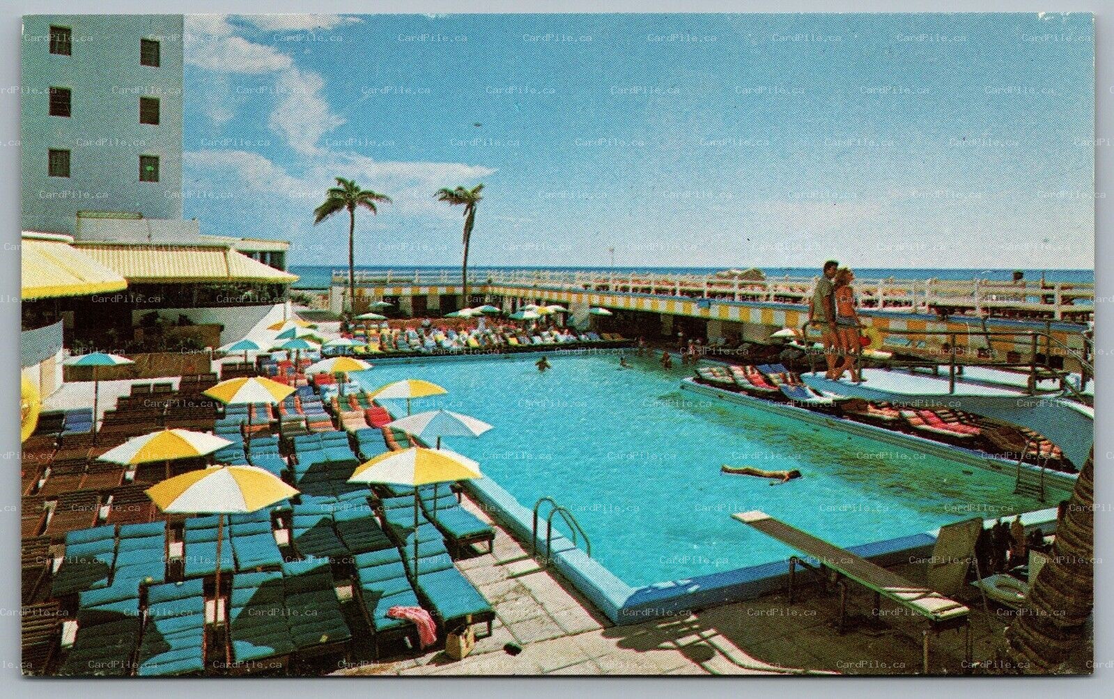 Postcard Miami Beach Florida c1950s The Casablanca Hotel Swimming Pool Umbrellas