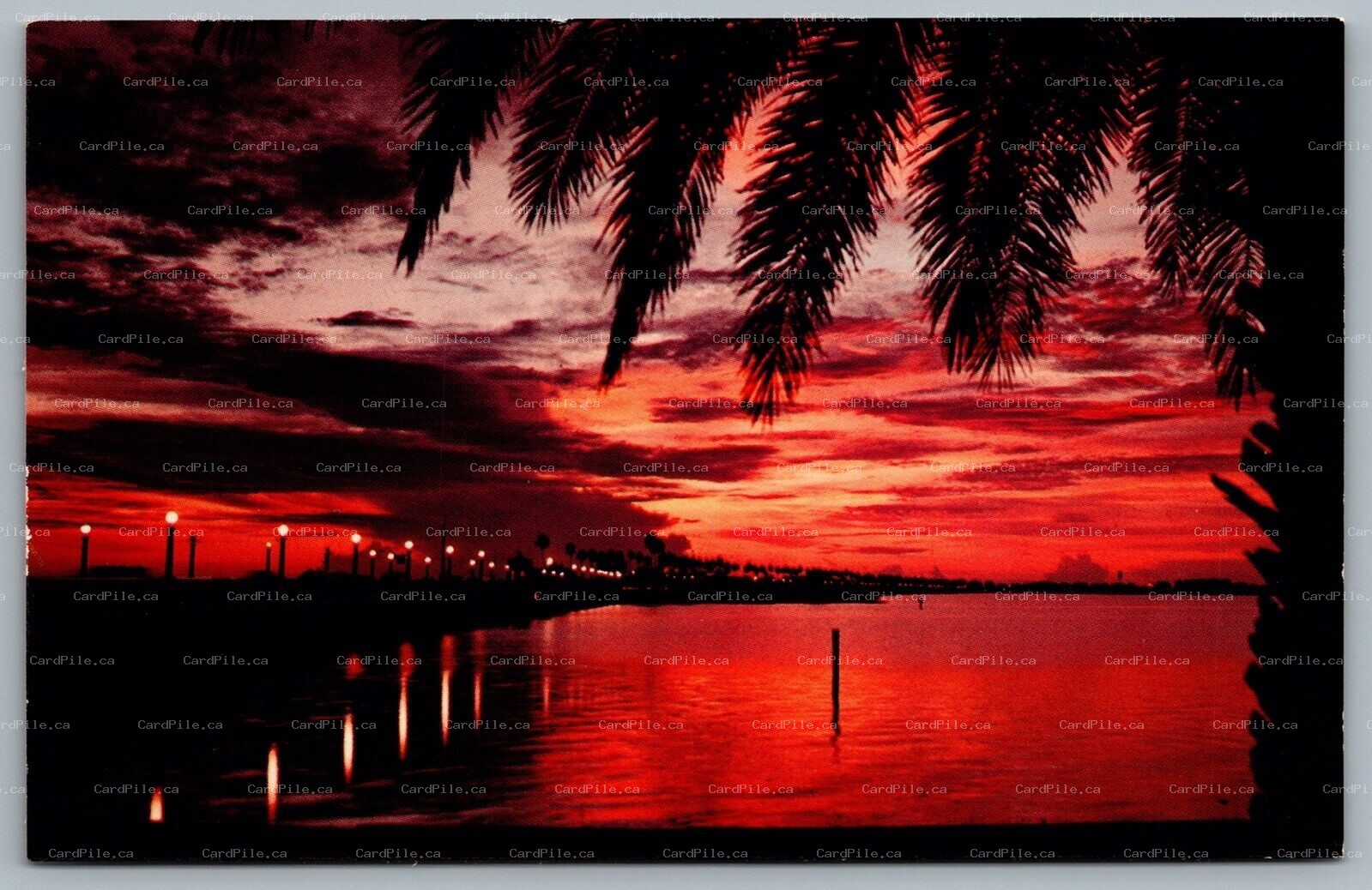 Postcard Clearwater Bay Florida c1960s Sunset Scene Memorial Causeway Beach