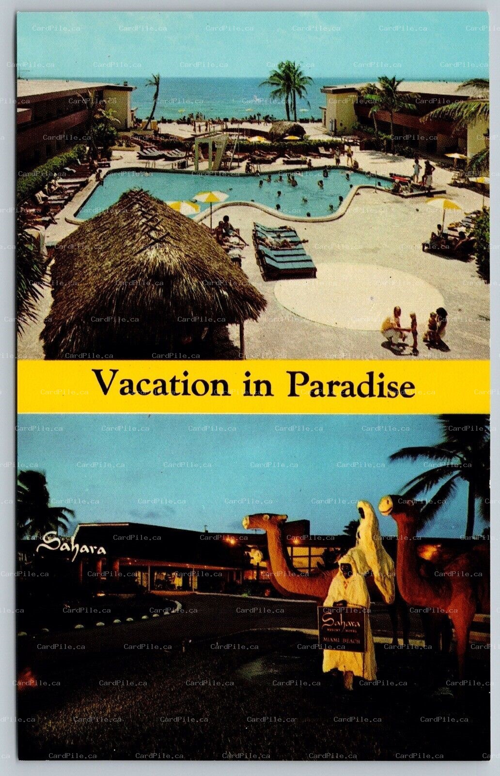 Postcard Miami Beach Florida c1967 Sahara Resort Motel Dual View Pool Ocean