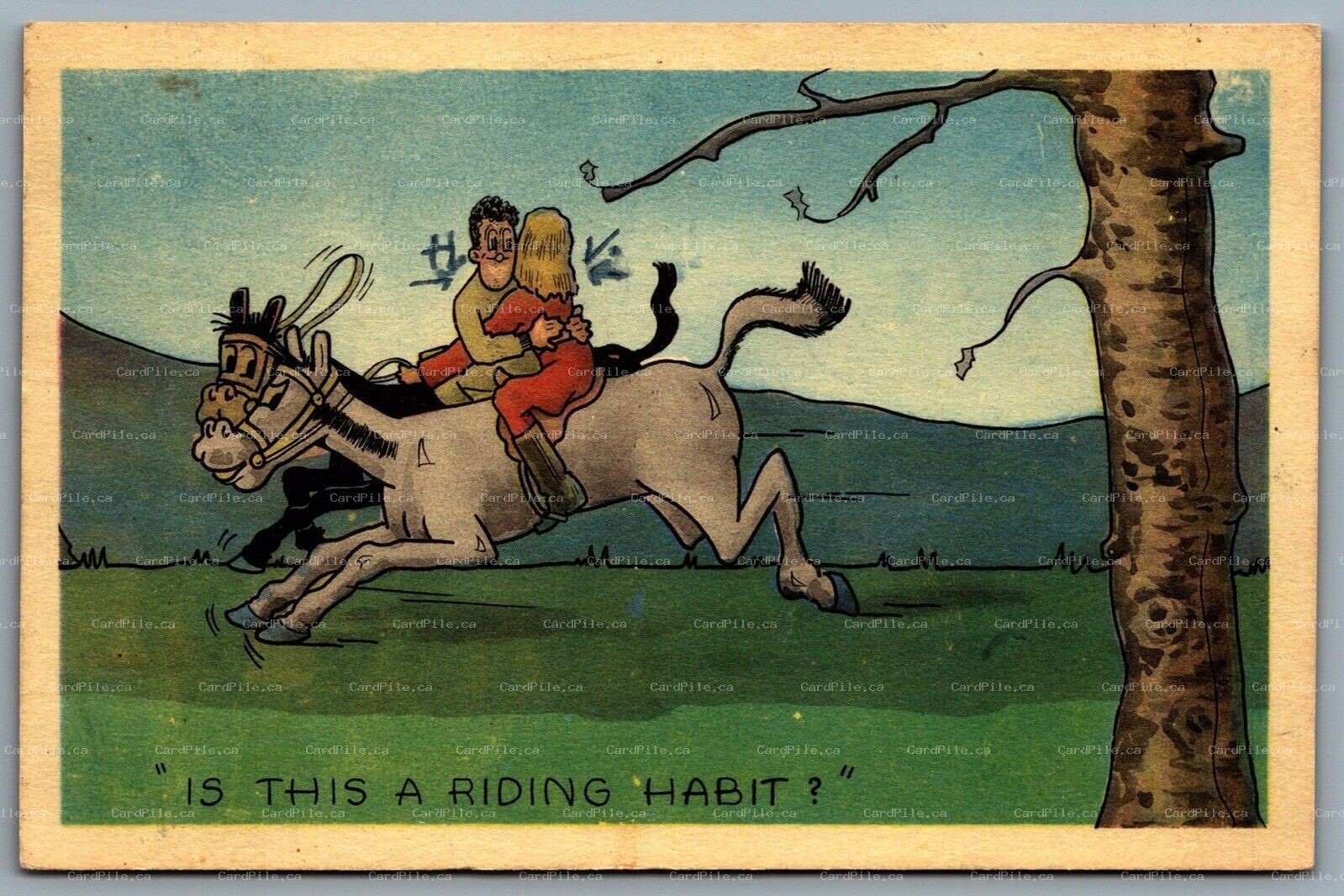 Postcard c1951 Comic Humor "Is This A Riding Habit ?" Man Woman on Horses