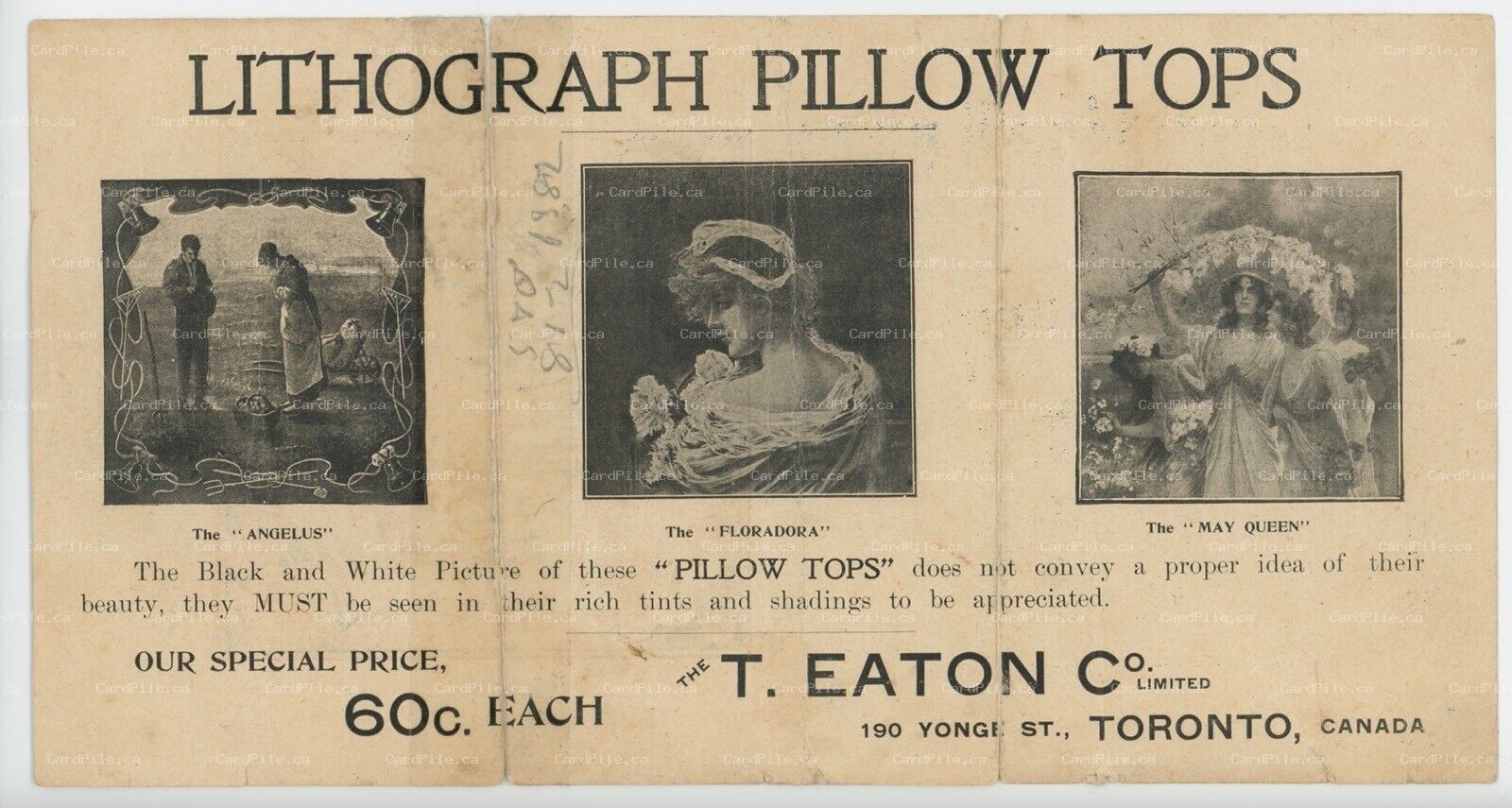 c1910s Toronto Ontario T. Eaton Co. Lithograph Pillow Tops Advertisement