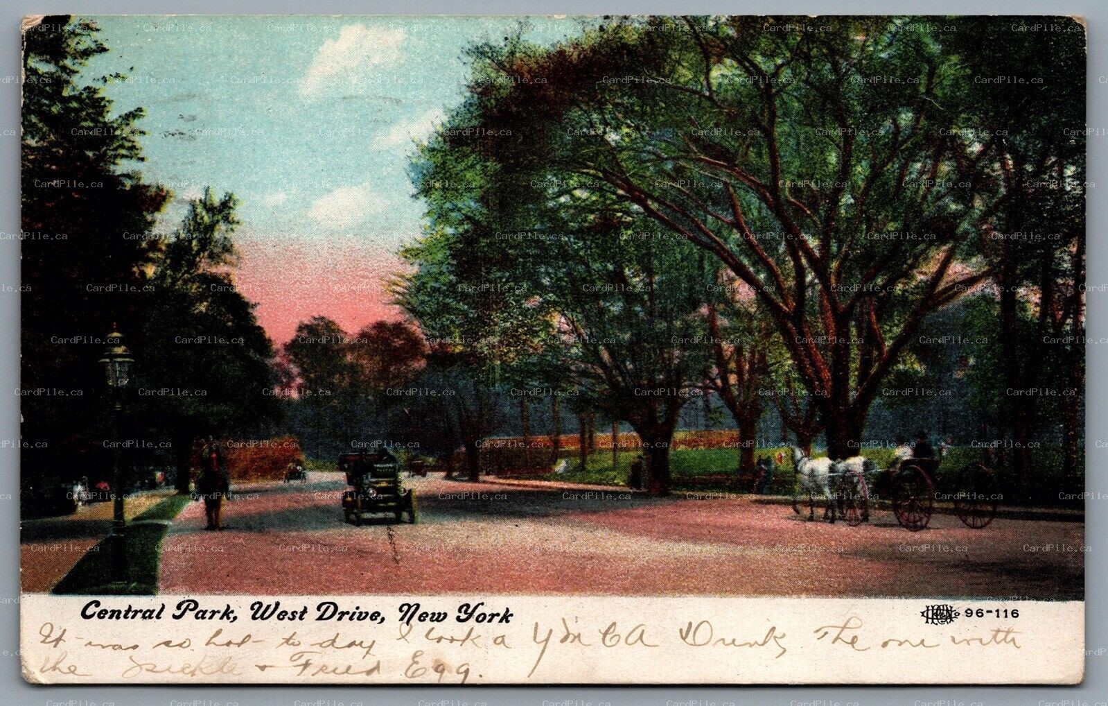Postcard New York City NY c1911 Central Park West Drive Horse Carriage