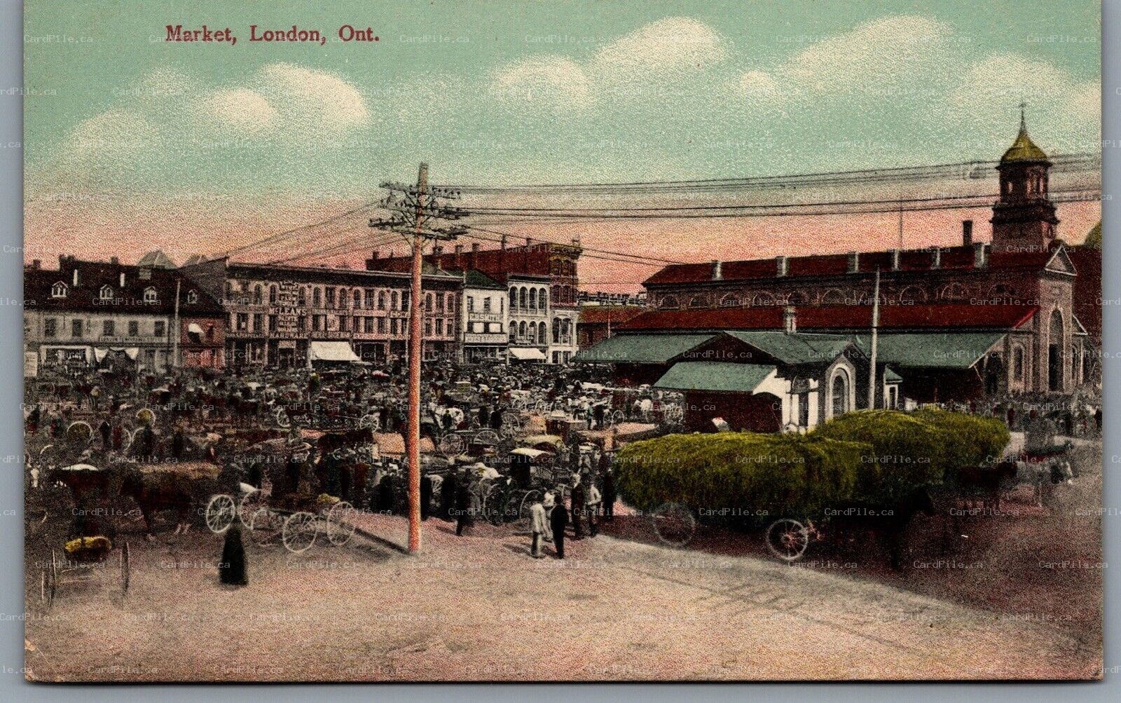 Postcard London Ontario c1910s View Of Market Horse Carriages Shops 