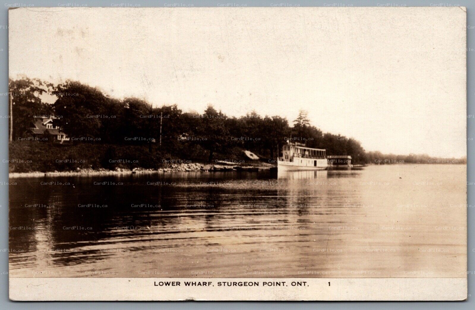 Postcard RPPC c1909 Sturgeon Point Ontario Lower Wharf Split Ring Duplex Cancel