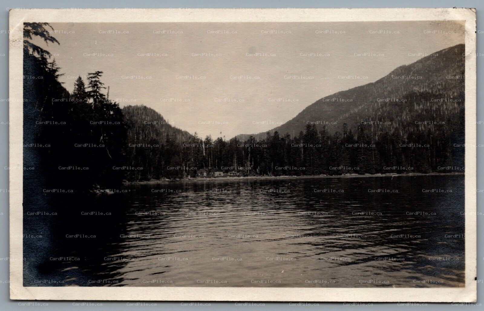 c1917 Swanson Bay British Columbia Shoreline View Wooden Houses Real Photograph