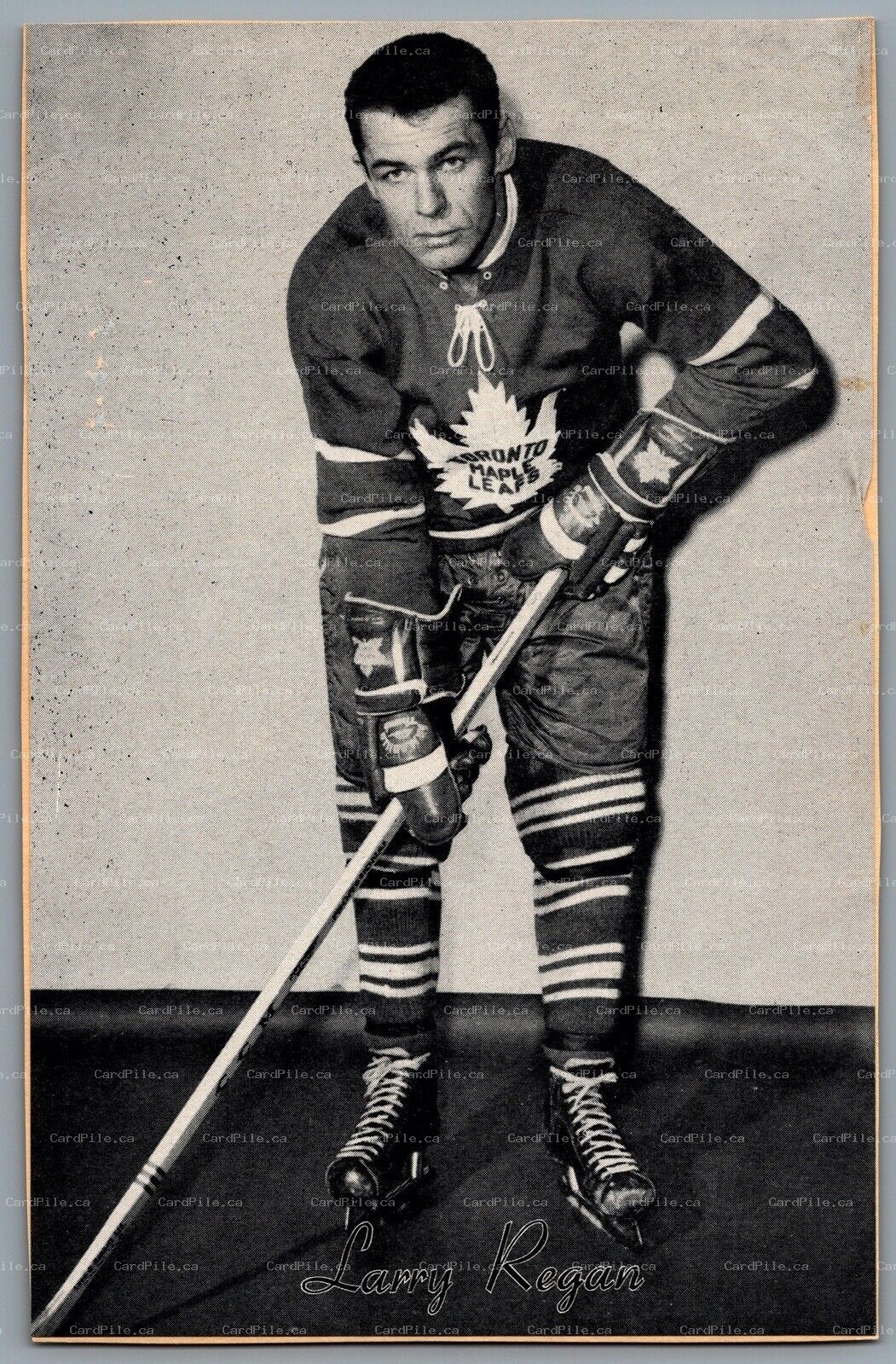 1944-1964 Bee Hive Toronto Maple Leafs Larry Regan NHL Hockey