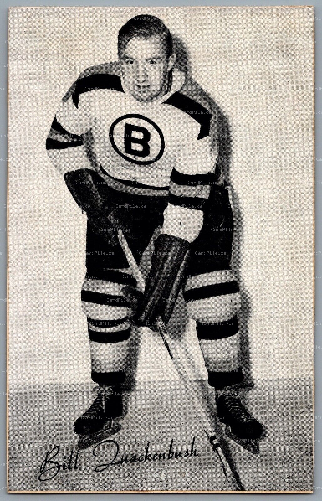 1944-1964 Bee Hive Boston Bruins Bill Quackenbush NHL Hockey