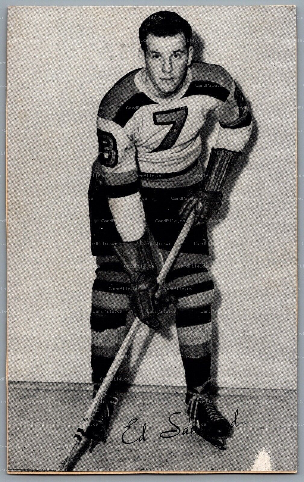 1944-1964 Bee Hive Boston Bruins Ed Sandford NHL Hockey