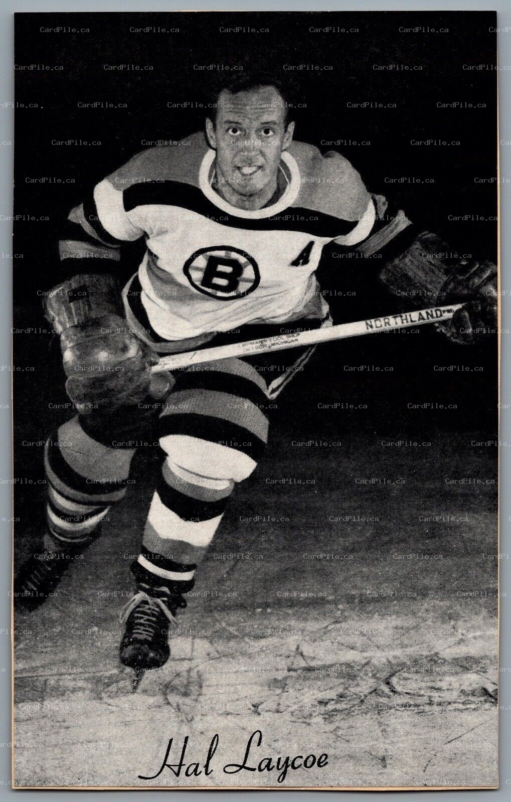 1944-1964 Bee Hive Boston Bruins Hal Laycoe NHL Hockey