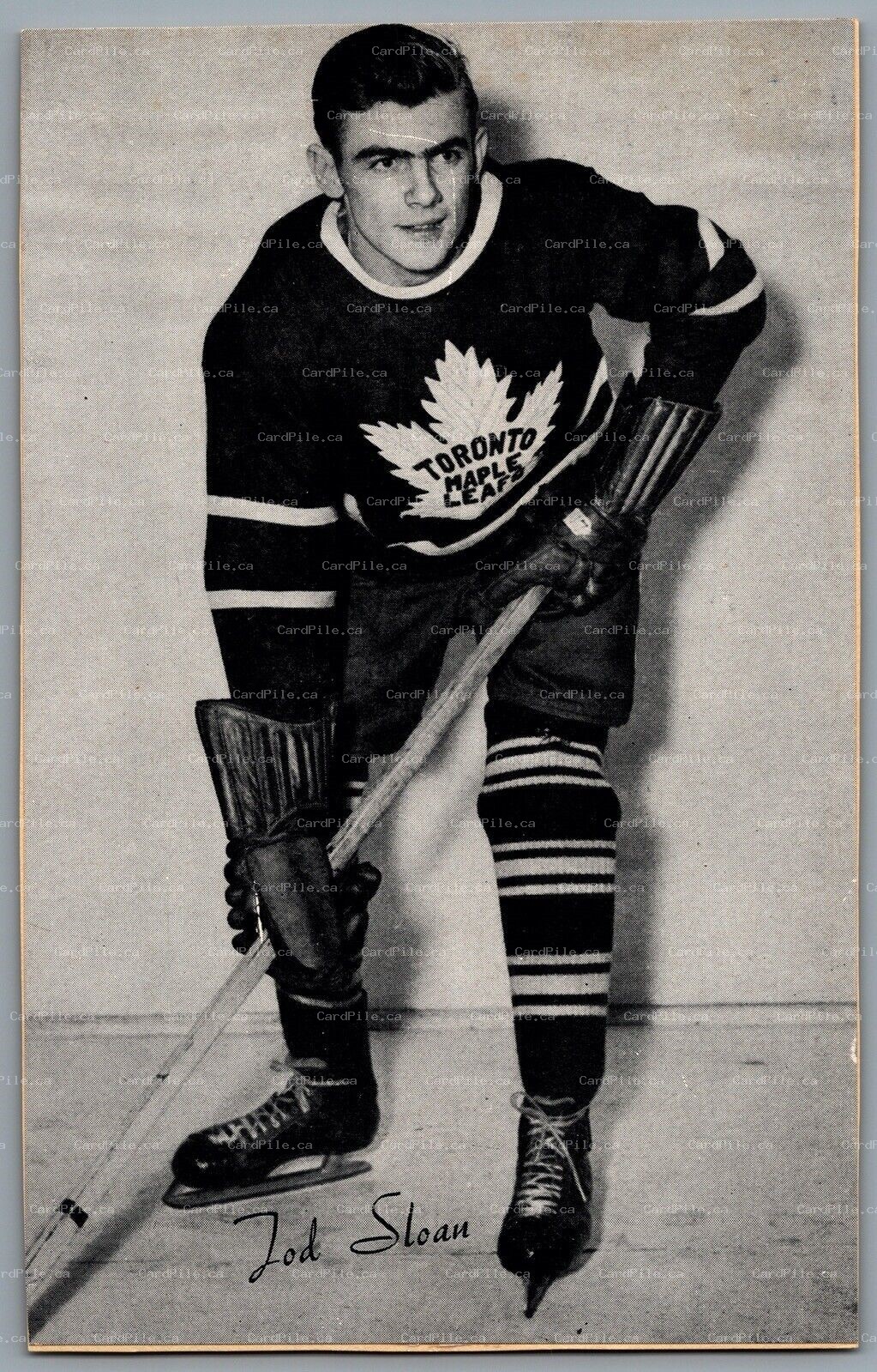 1944-1964 Bee Hive Toronto Maple Leafs Tod Sloan NHL Hockey