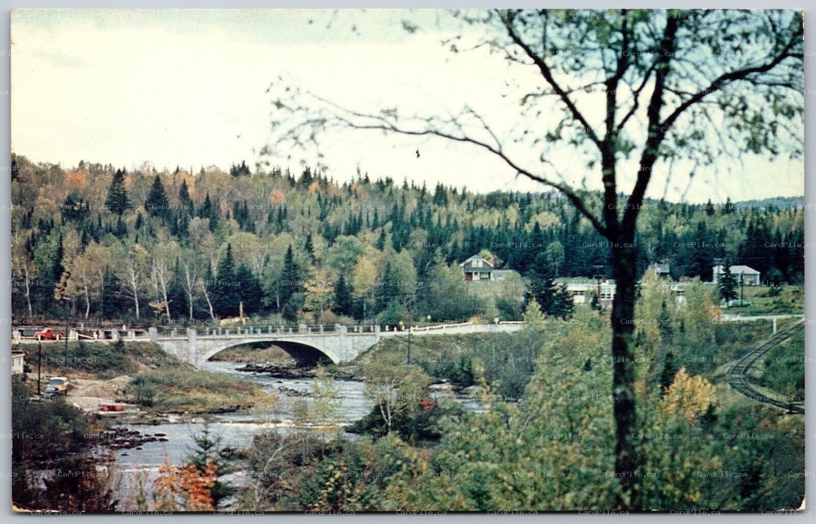 Postcard Madawaska Valley Ontario c1960s Whitney Bridge River Rewnfrew County