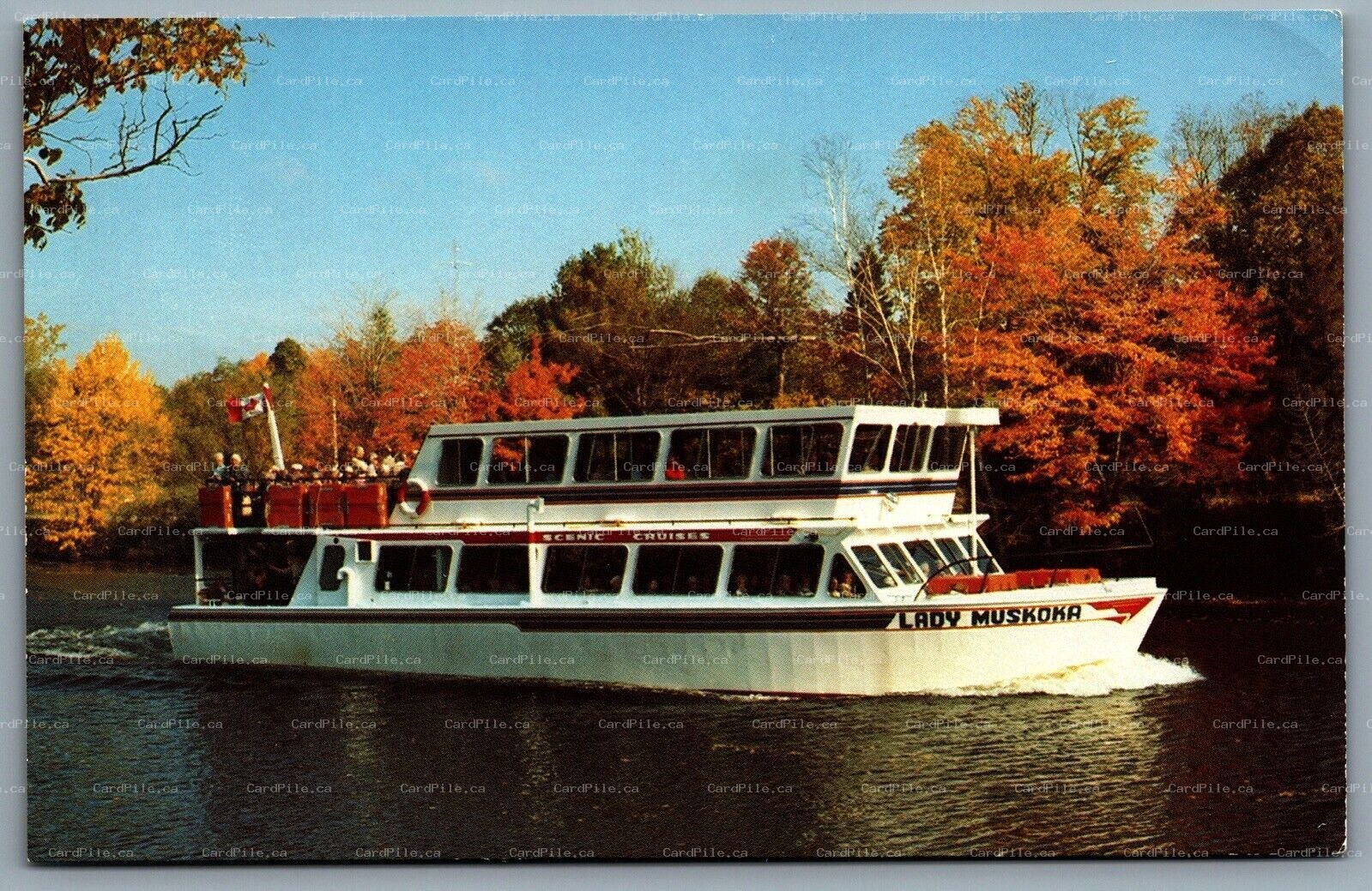 Postcard Port Carling Ontario c1970s Lake Cruises Lady Muskoka Wandlyn Rivesride