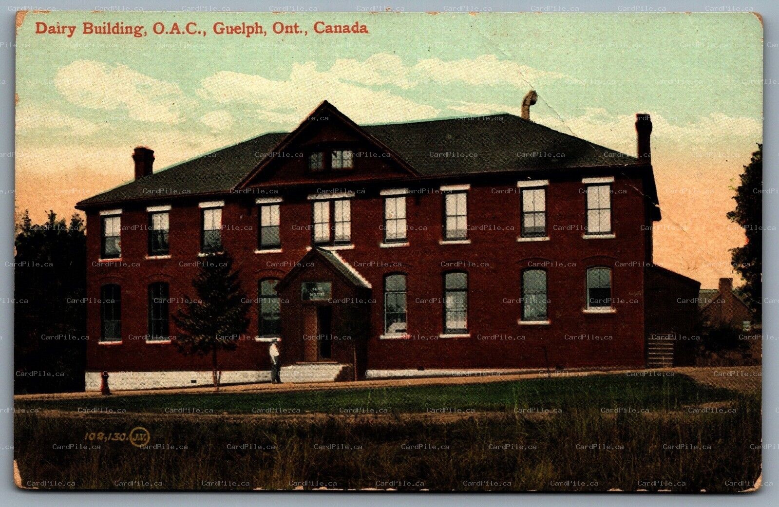 Postcard Guelh ONT c1910s Dairy Building O.A.C. Advertisement on Back Pianos