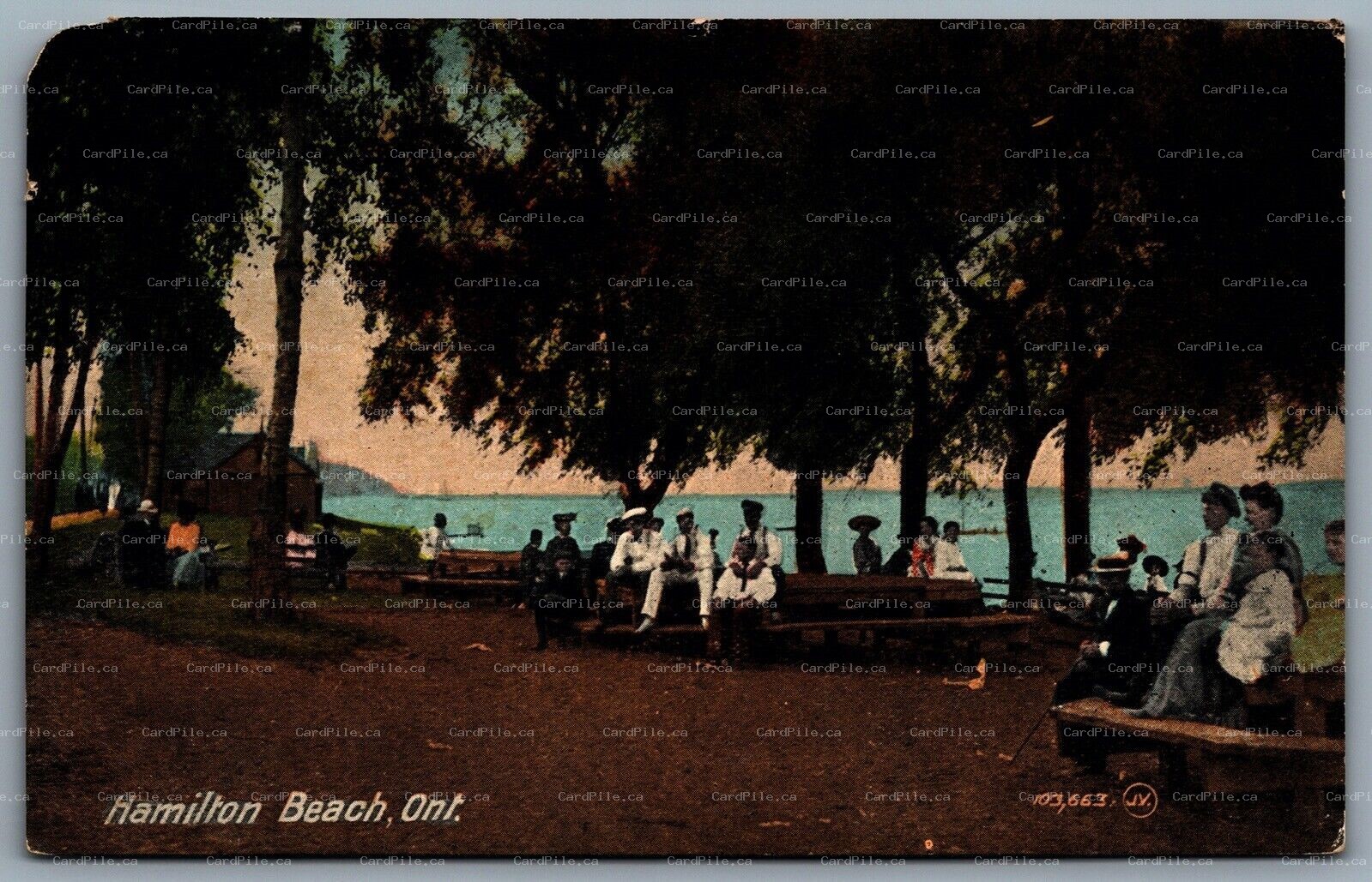 Postcard Hamilton Beach Ontario c1917 Picnic Scene Roller Cancel Streetsville