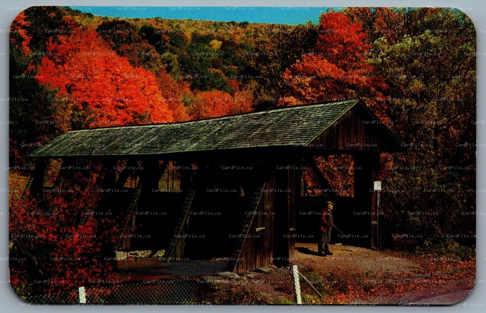 Postcard Catskill NY c1950s Mountain Vacationlands Covered Bridge Dry Brook
