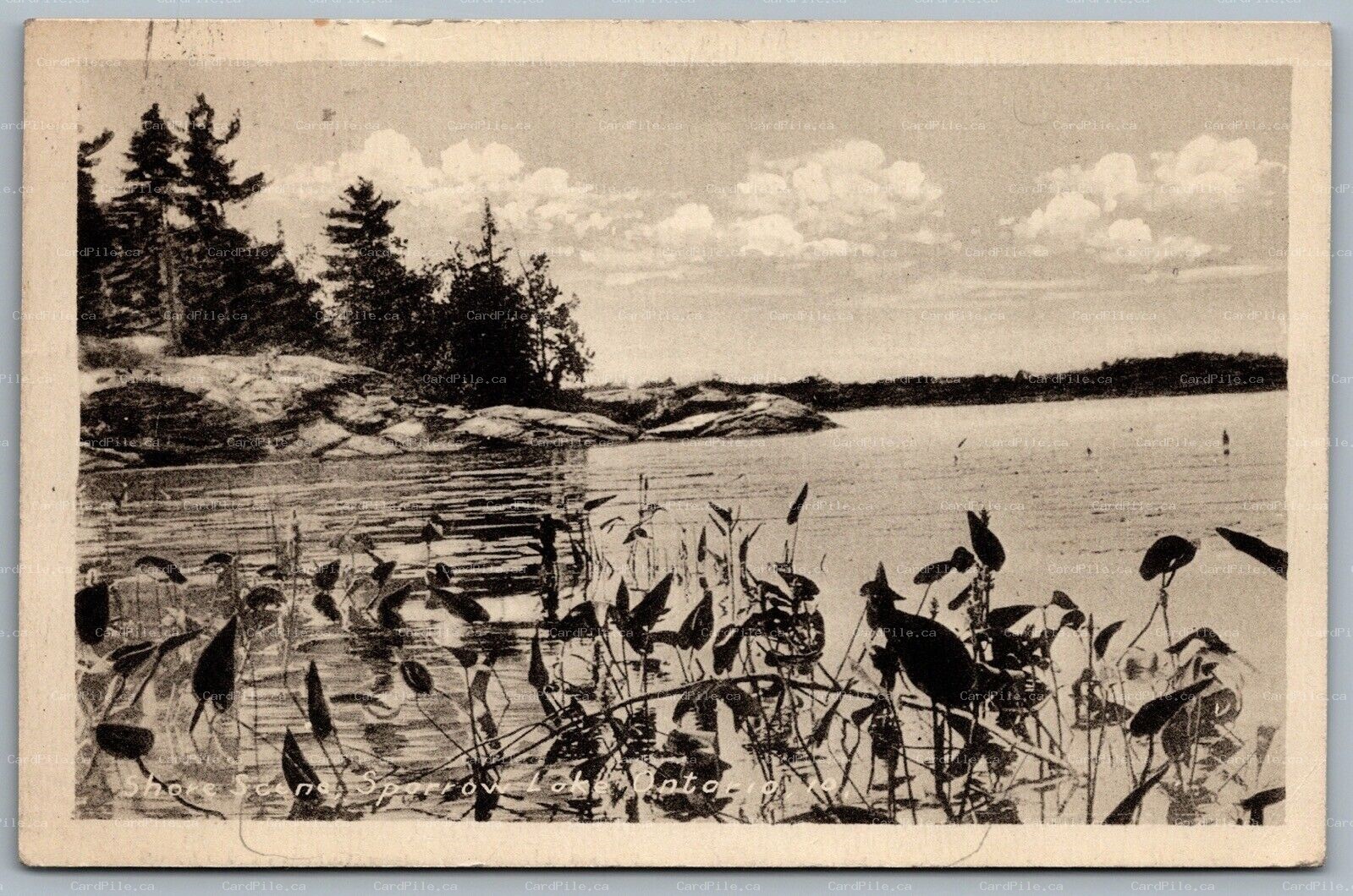 Postcard Sparrow Lake Ontario 1941 Shore Scene Cities Service Oil Company Cancel