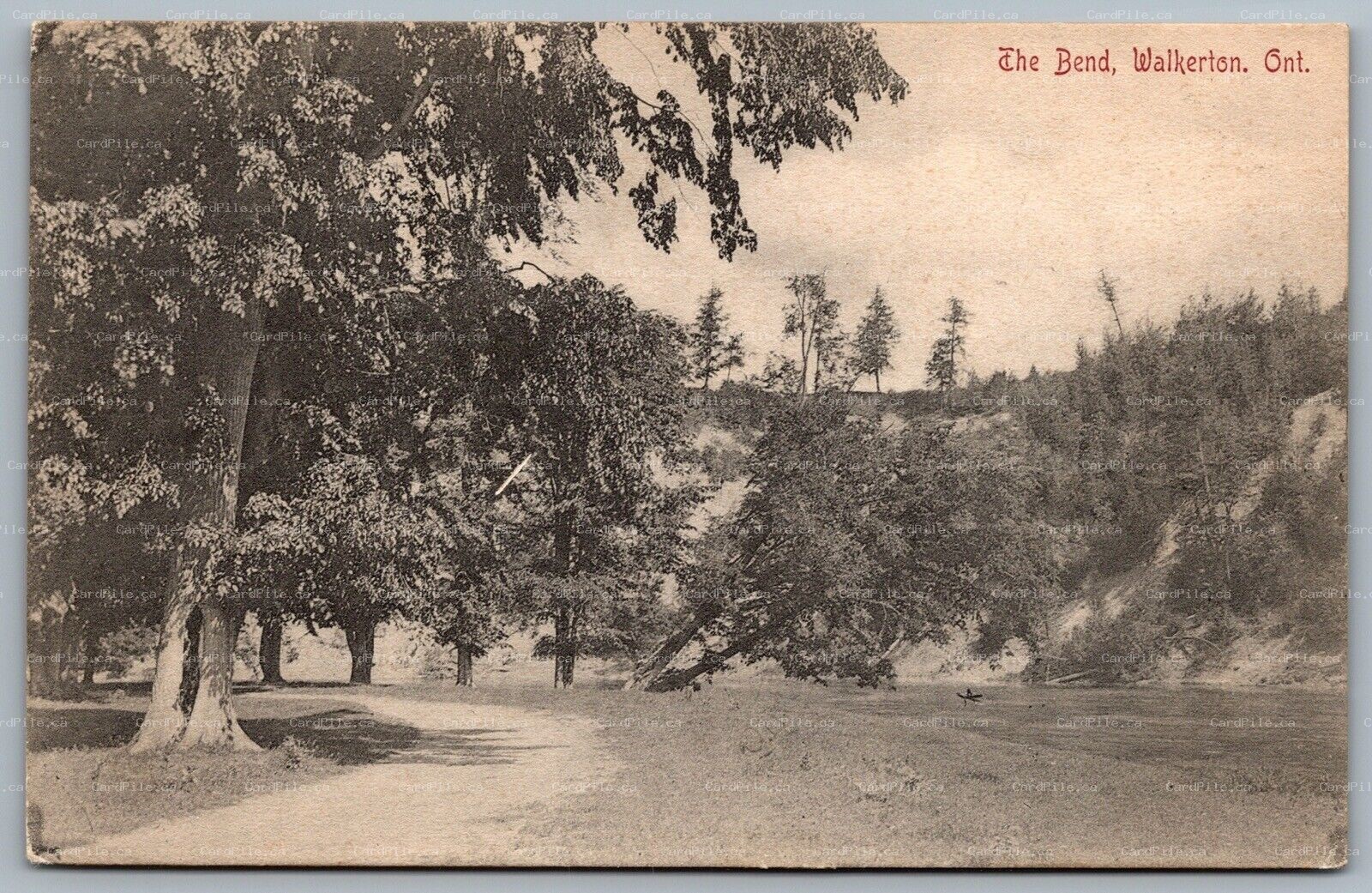 Postcard Walkerton Ontario c1906 The Bend Saugeen River Bruce County