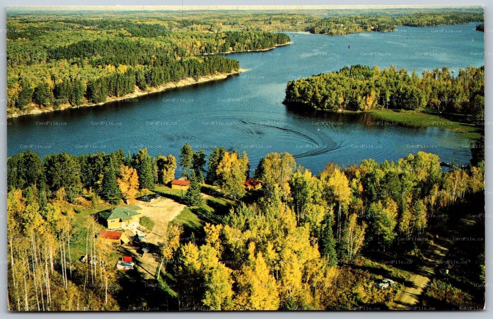Postcard Kenora Ontario c1960s Lakeshore Cabins Aerial View Black Sturgeon Lake