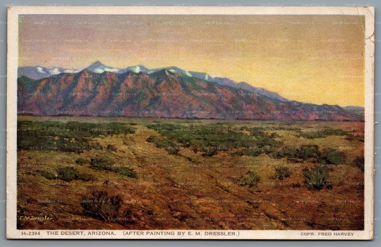 Postcard AZ c1920s The Desert Fred Harvey After Painting by E.M. Dressler