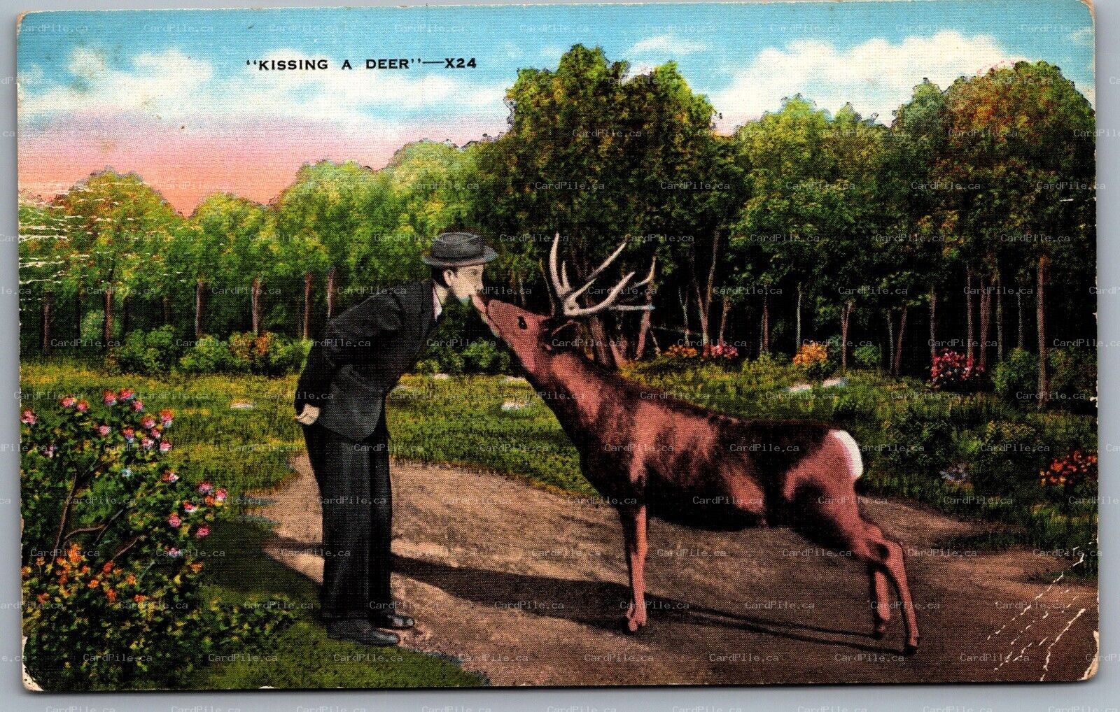 Postcard Grayling MI c1940s Greetings from Grayling Michigan Man Kissing a Deer