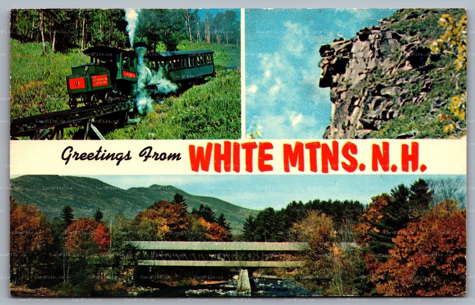 Postcard White Mountains NH c1970s Greetings from White Mountains Multi View