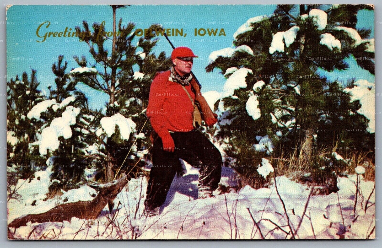 Postcard Oelwein IA c1953 Greetings from Oelwein Iowa Winter Deer Kill Hunter