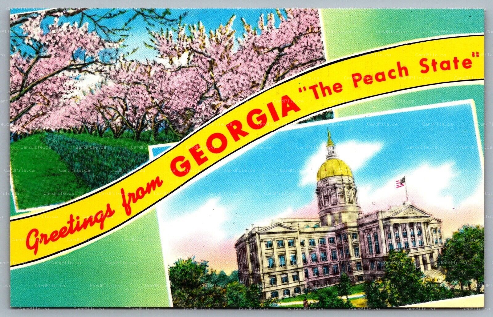 Postcard c1960s Greetings from Georgia The Peach State Dual View Peach Blossom