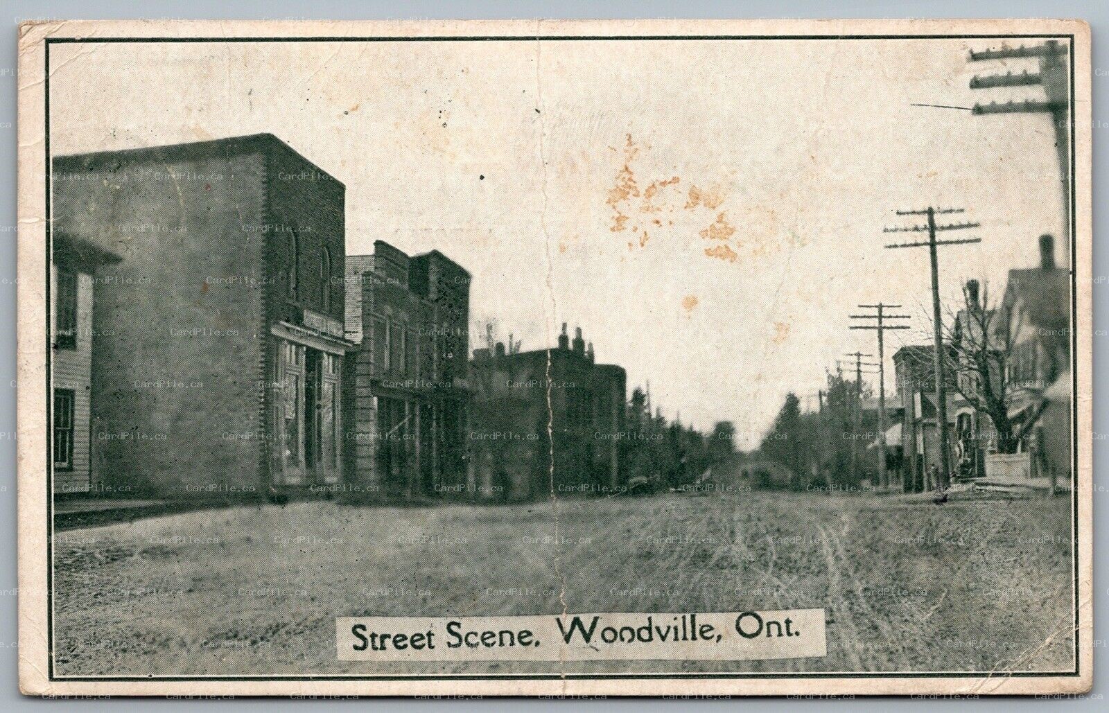 Postcard Woodville Ontario c1907 Street Scene Kawartha Lakes