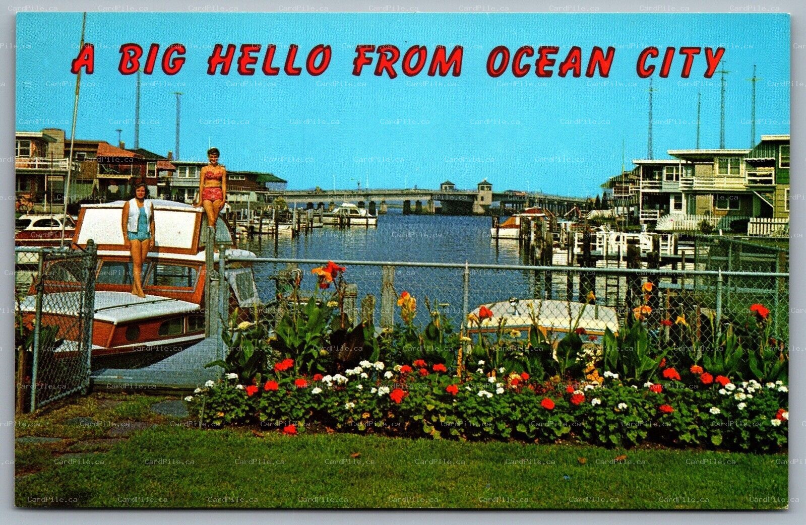 Postcard Ocean City NJ A Big Hello from Ocean City Snug Harbor Ladies on Boat