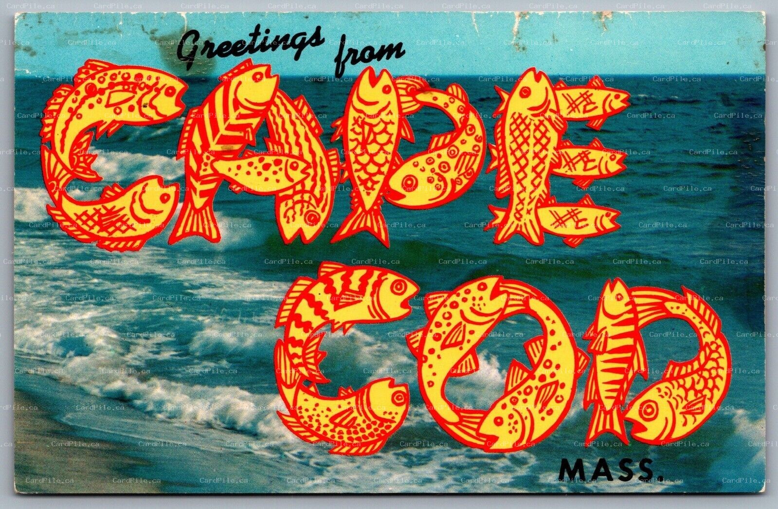 Postcard Cape Cod MA c1960s Greetings from Cape Cod Mass Large Letter Fish 