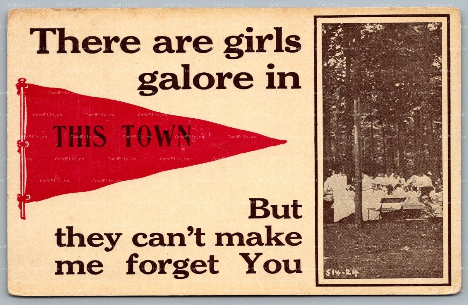 Postcard c1910s Generic Penannt Flag There Are Girls Galore In This Town Picnic