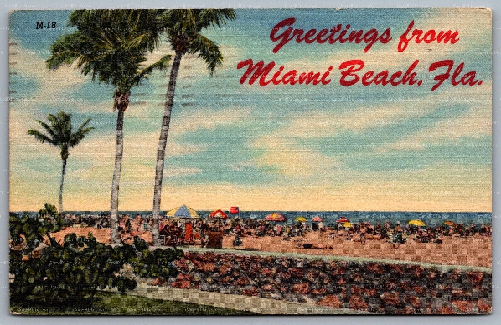 Postcard Miami FL c1951 Greetings from Miami Beach Florida Beach View Linen