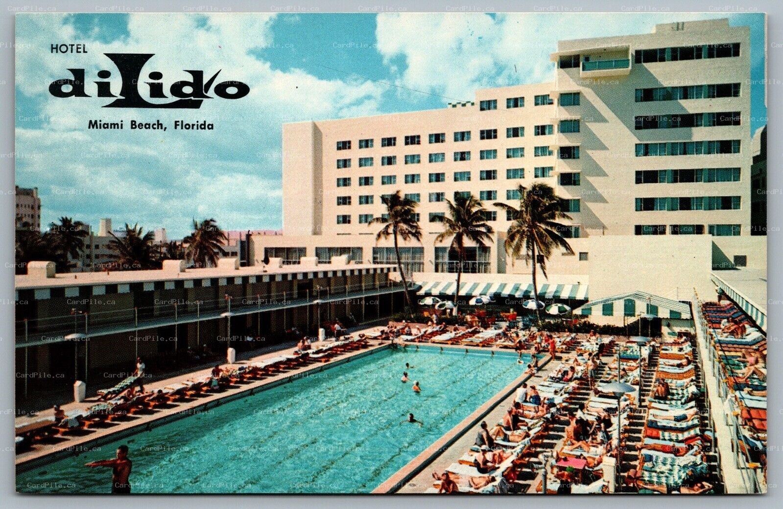 Postcard Miami Beach FL c1960s Hotel Dilido Swimming Pool Bathers Umbrellas 