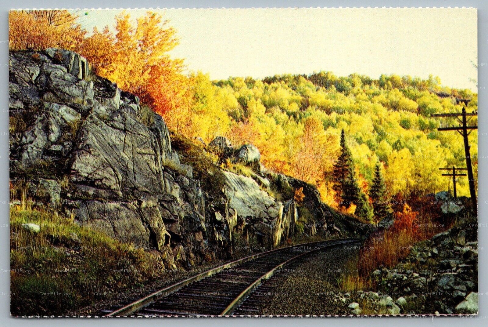 Postcard Sault Ste. Marie ONT Algoma Central Railway Rockcut Laurentian Shield