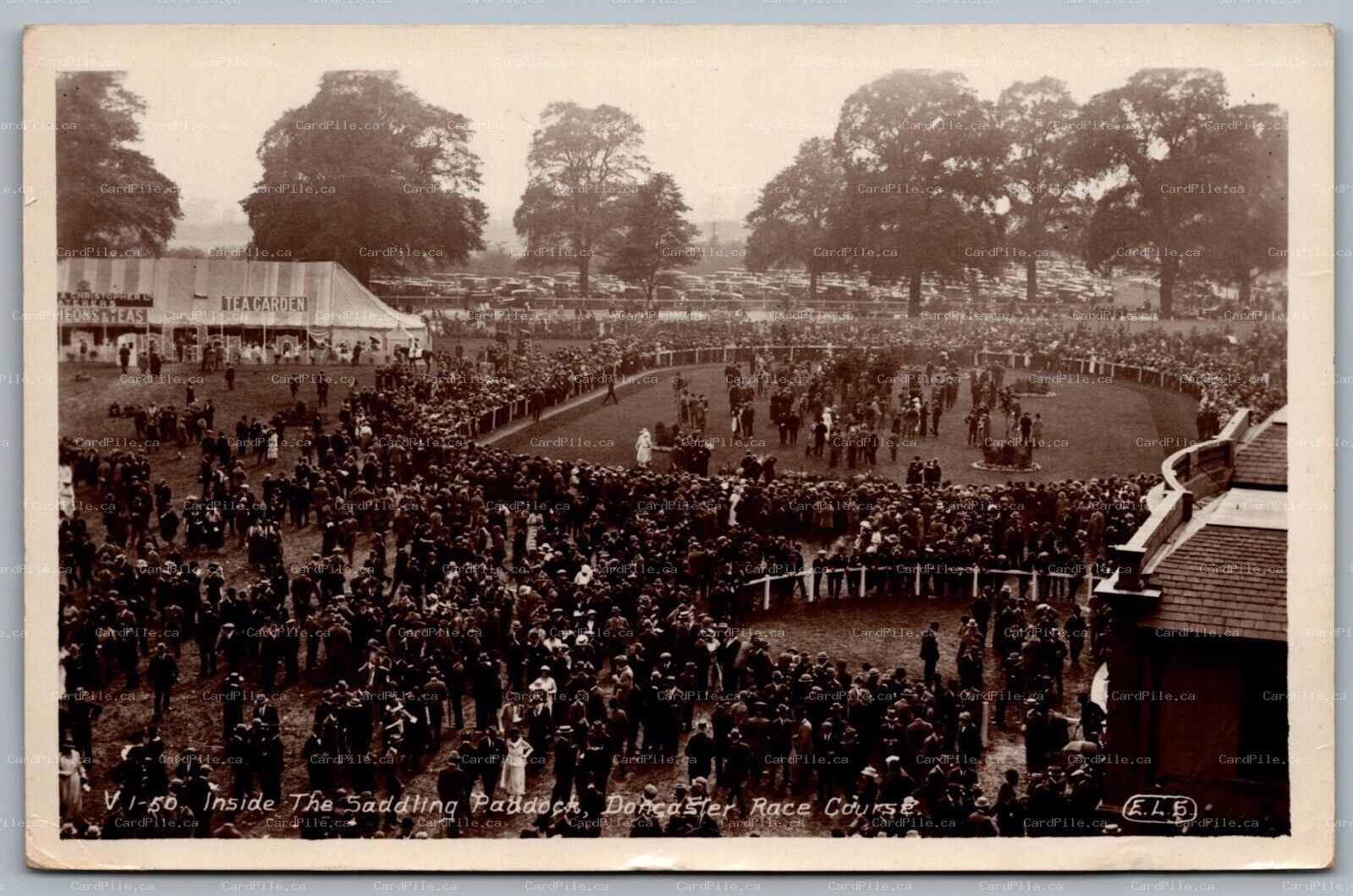 Postcard RPPC c1920s Doncaster UK Inside The Saddling Paddock Race Course