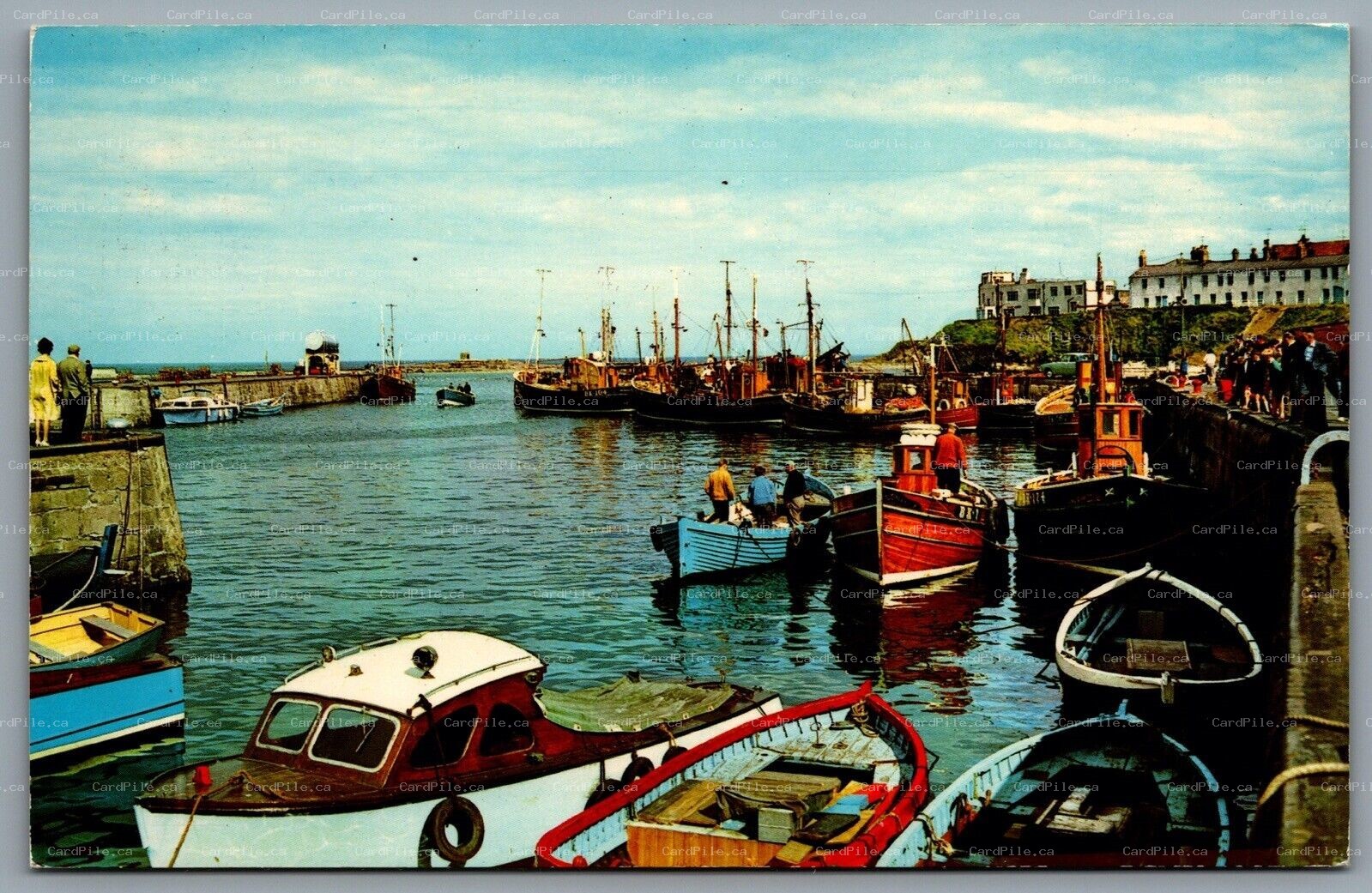 Postcard Seahouses United Kingdom c1960s The Harbour North Northumberland