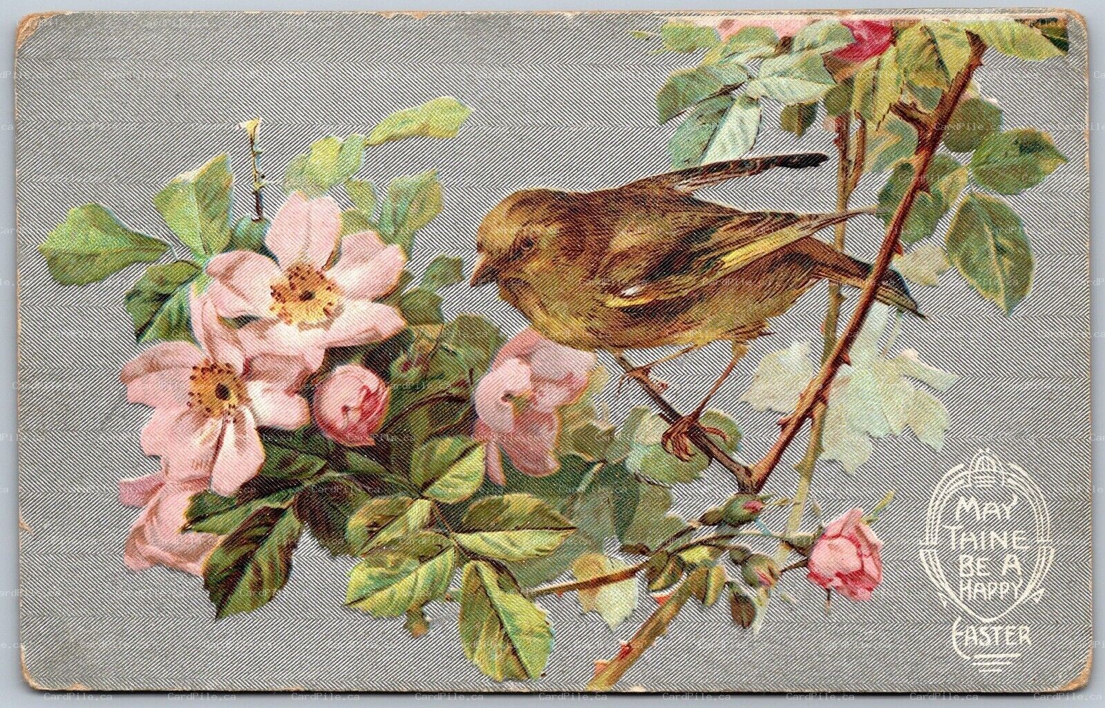 Postcard c1910s Split Ring Cancel Stanley Section Nova Scotia Easter Embossed