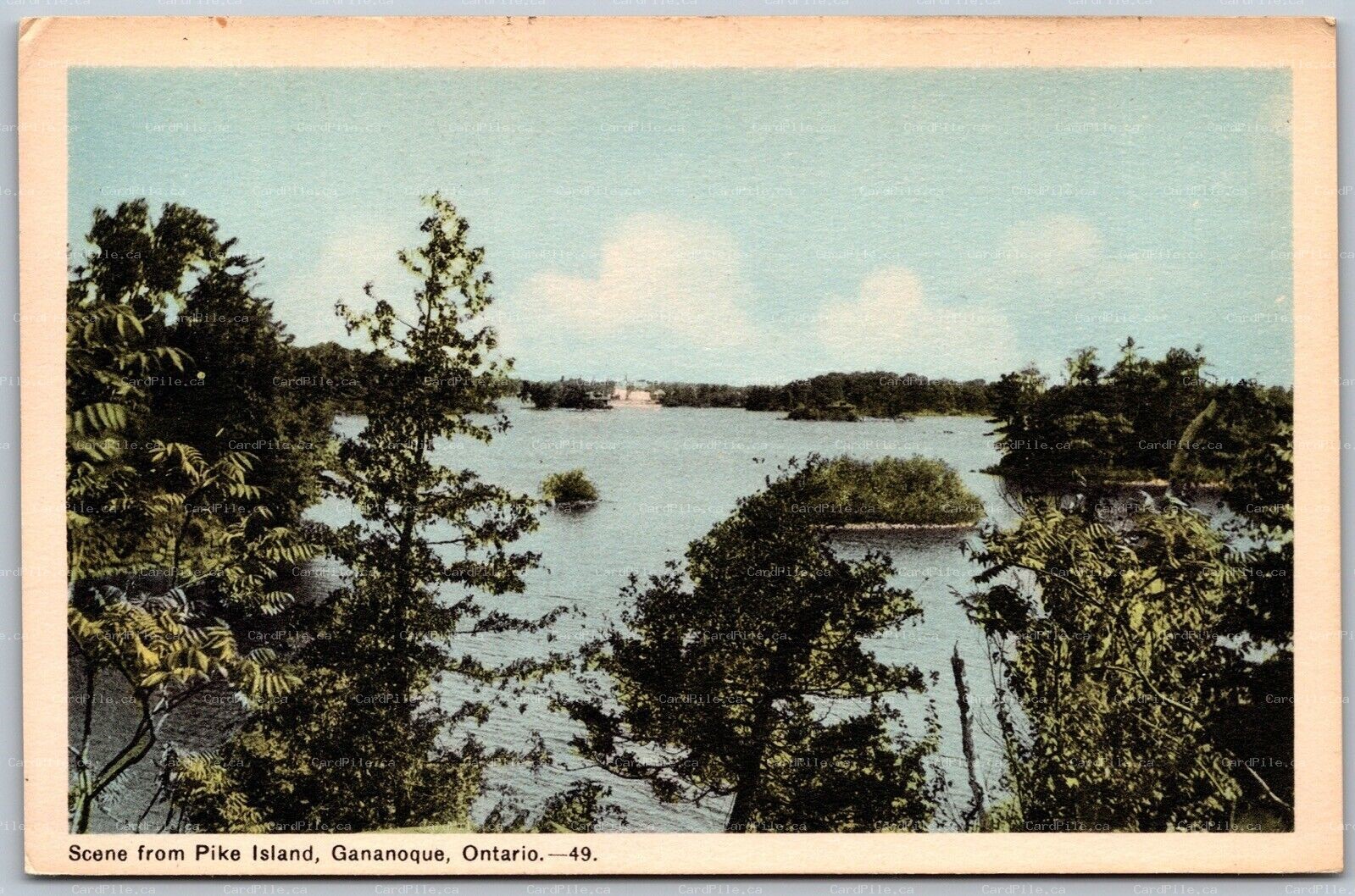Postcard Gananoque Ontario c1930s Scene From Pike Island Scenic PECO 